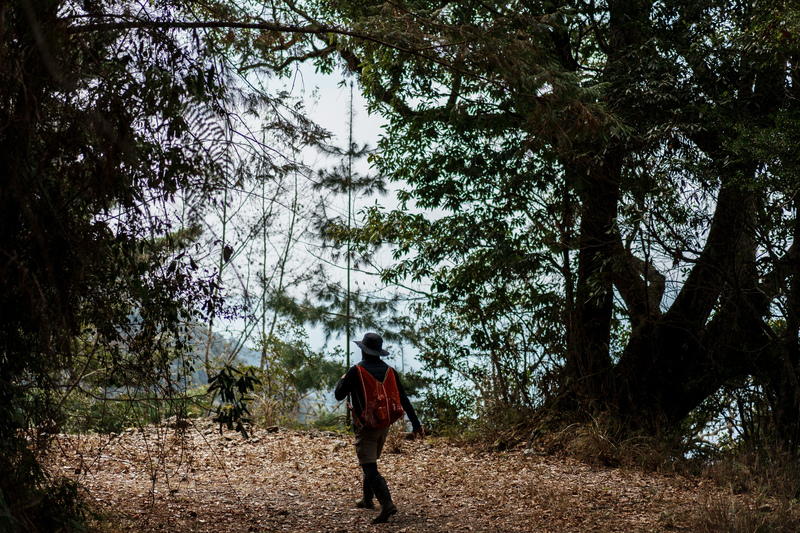 馬翊航／半島風真透：《忽聞布農踏歌聲》的實／在回音