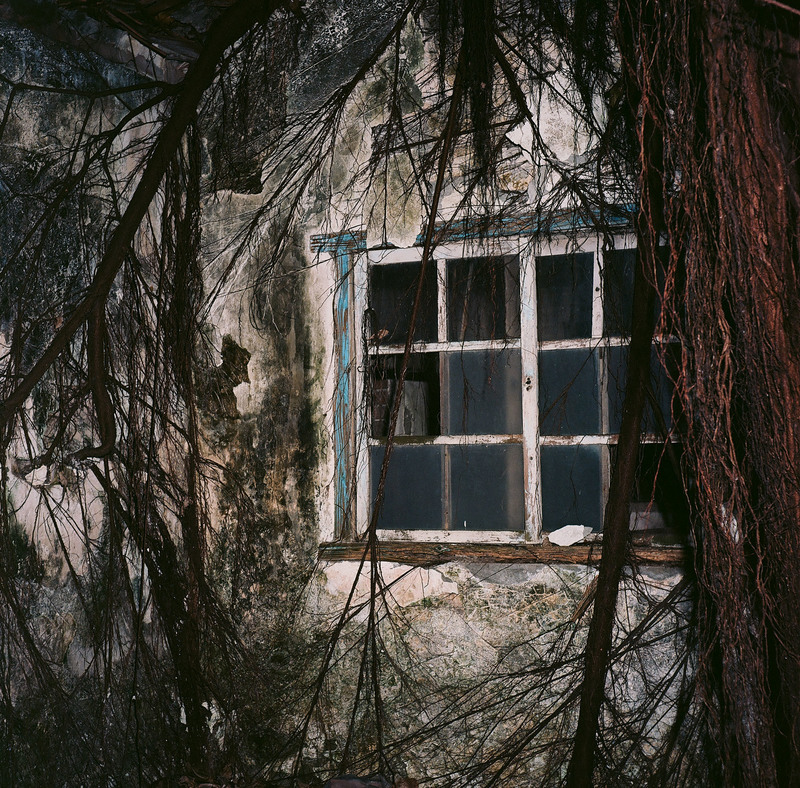 梁東屏／歲月淘盡江湖色：看見歷史轉折處的蔡金塗──讀《臺北聞人蔡金塗》