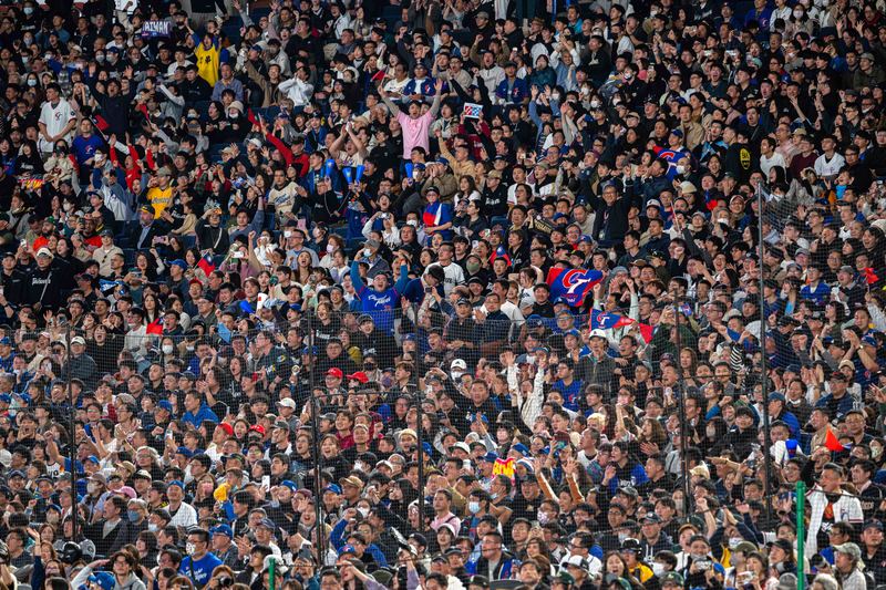 （攝影／謝佩穎）