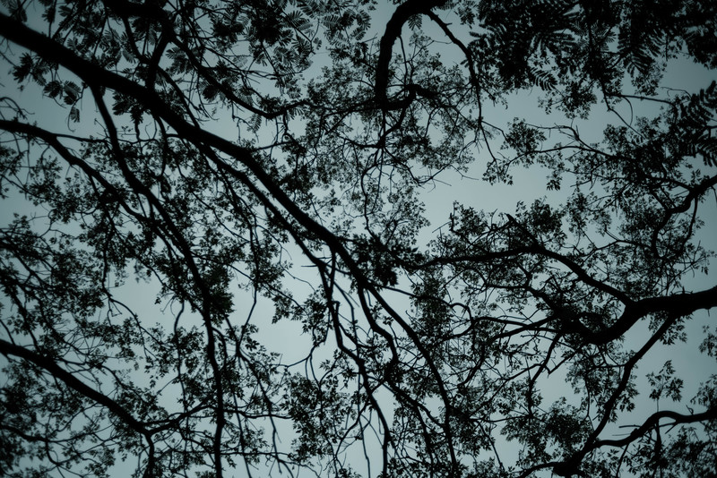 台灣同志諮詢熱線協會社群發展主任林昱君觀察，很多同志長期被迫隱藏自己，當遭受伴侶施暴，求助可說是雙重出櫃，難上加難。示意圖。（攝影／鄭宇辰）