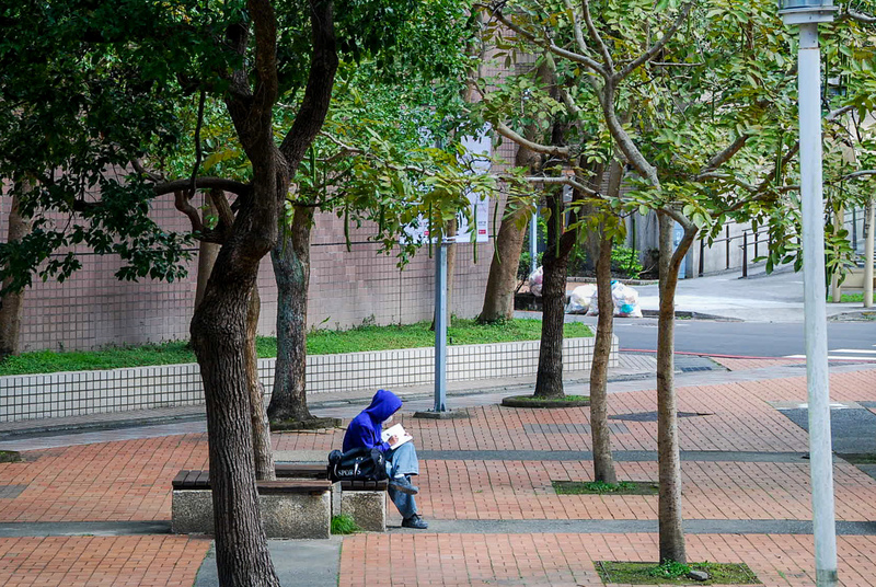 校園師生在樹下休憩與閱讀是日常風景，唯有大眾共同關注樹木健康，才能成就人樹共生的環境。（攝影／郭謹萱）