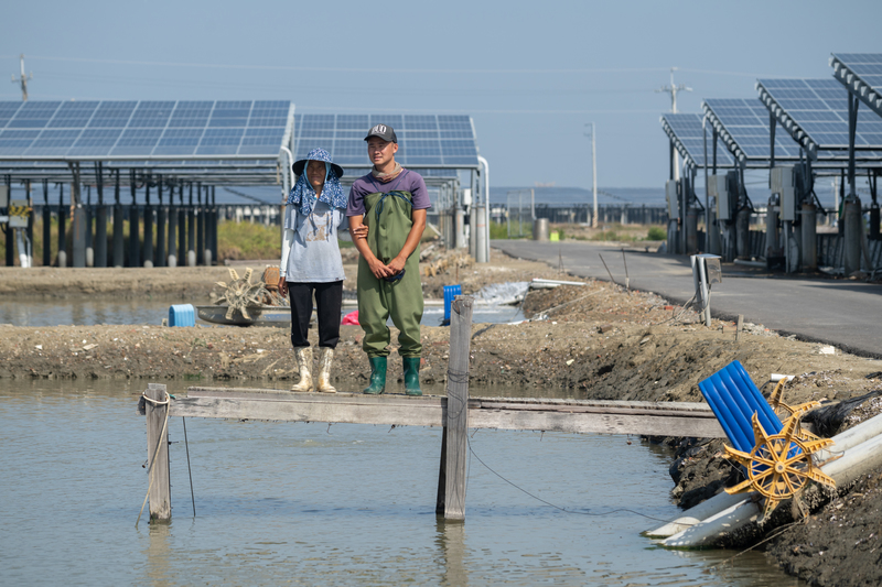 陳秋涼（左）與兒子張高維的魚塭收成是大亞案場最佳，對他們來說查核標準不難達標，但他們也為其他養殖戶抱不平，認為產量不可能年年穩定，養殖風險卻要由漁民承擔。（攝影／謝佩穎）