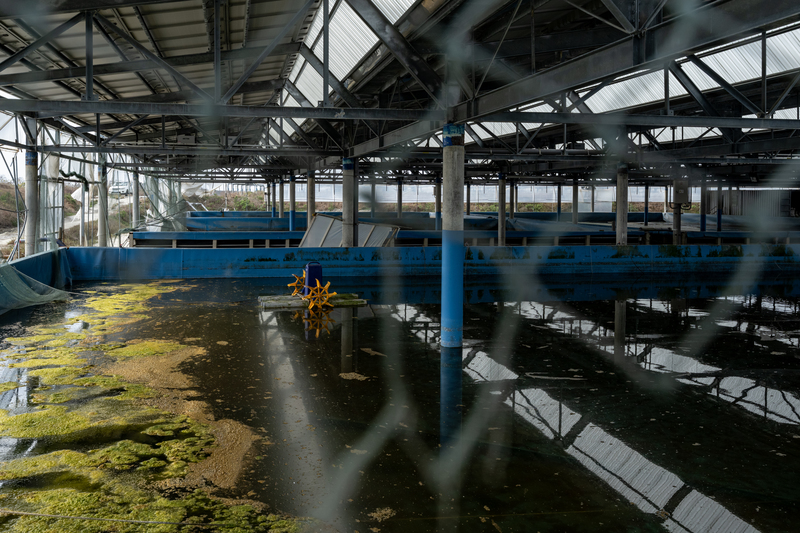 一場瀕臨敗局的政策實驗