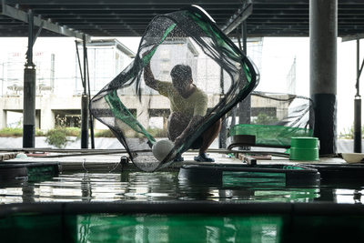 從最大開發商到資金疑雲:誠新集團與漁電共生產業的實戰考驗