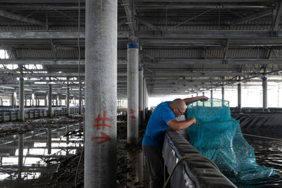 從最大開發商到資金疑雲:誠新集團與漁電共生產業的實戰考驗