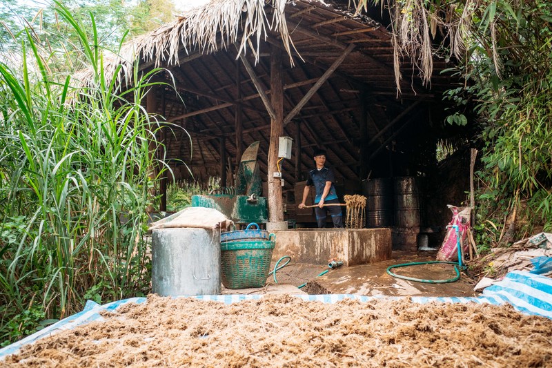 Kayan族青年正在製作大象糞便手抄紙。(攝影/許𦱀倩)