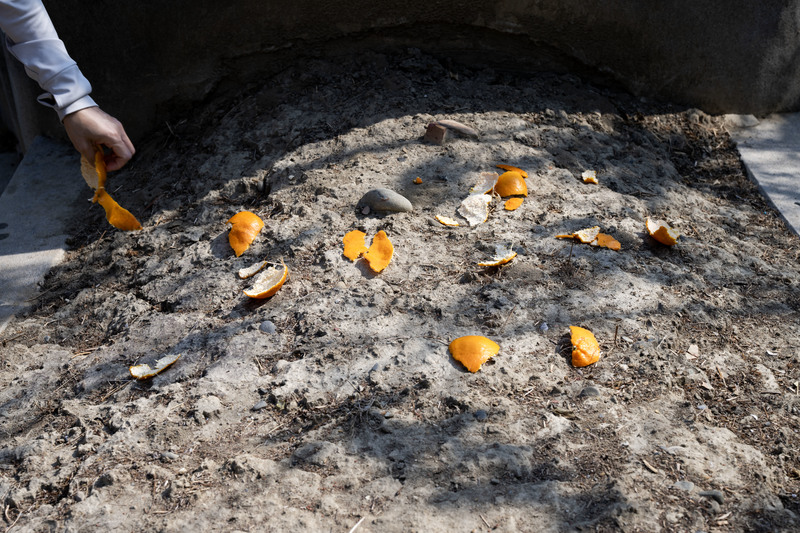 民眾依習俗將橘子皮拋灑在墳墓上。（攝影／楊子磊）