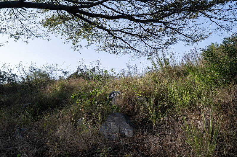 南山公墓內的無名先人墓塚。（攝影／楊子磊）