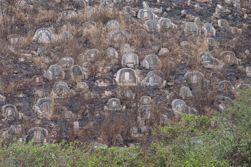 2026年4月3日，南山公墓近台南市立火化場的墳區有大火燒過的焦痕。（攝影／楊子磊）