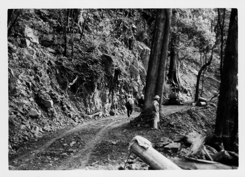 運林木道。（照片提供／黃明秀）