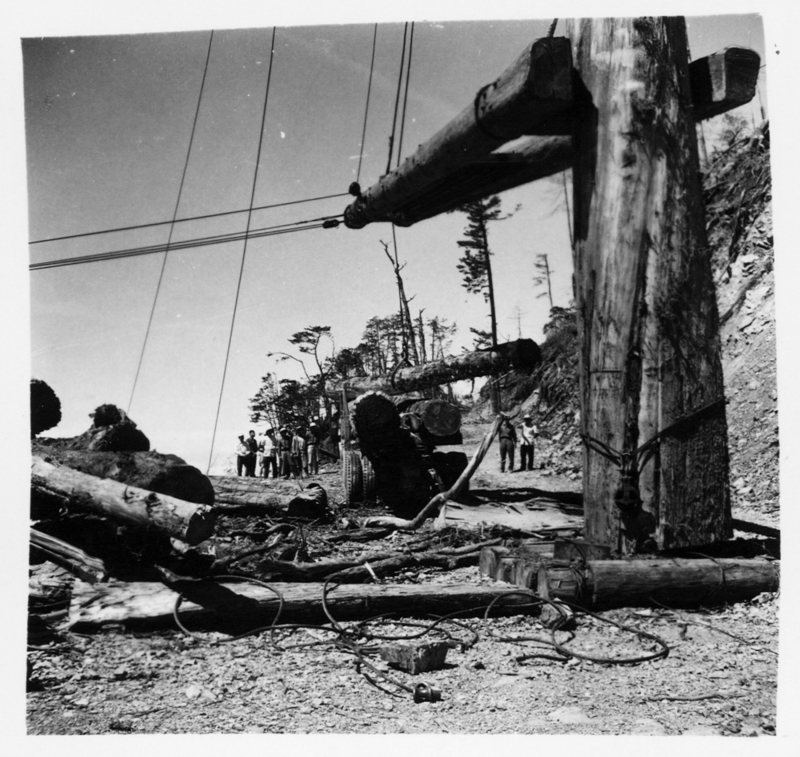 集林索道。（照片提供／黃明秀）