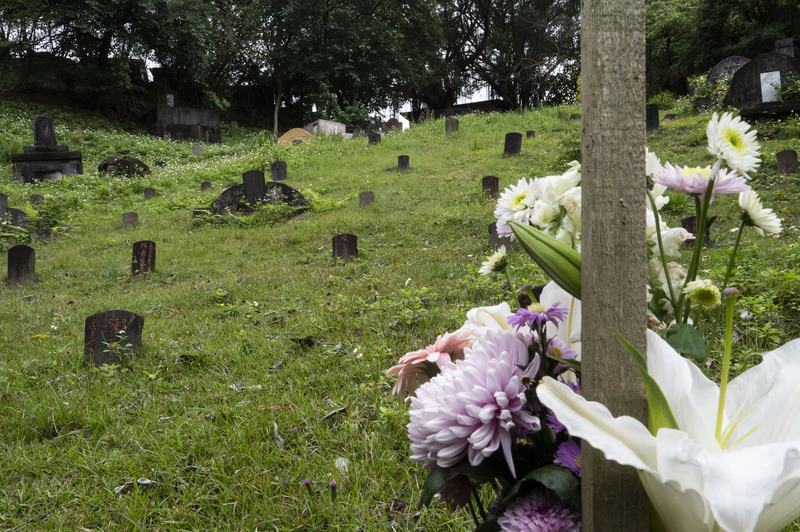 戒嚴時期政治受難者墓園。（攝影／楊子磊／資料照片）