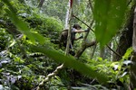 羅苡珊／如行幽谷與稜脊的寫作：讀《河人：一場山難，自由、暴水與生命的流向》