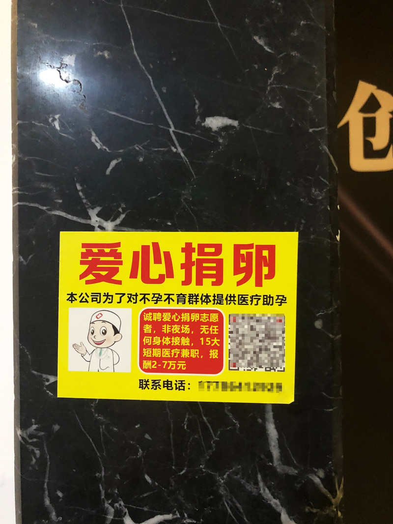 大大小小的捐卵廣告，就張貼在Ella與Jenny在中國武漢下榻的商務旅館。（照片提供／Ella）
