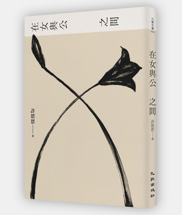 《在女與公之間》，許恩恩著，九歌出版